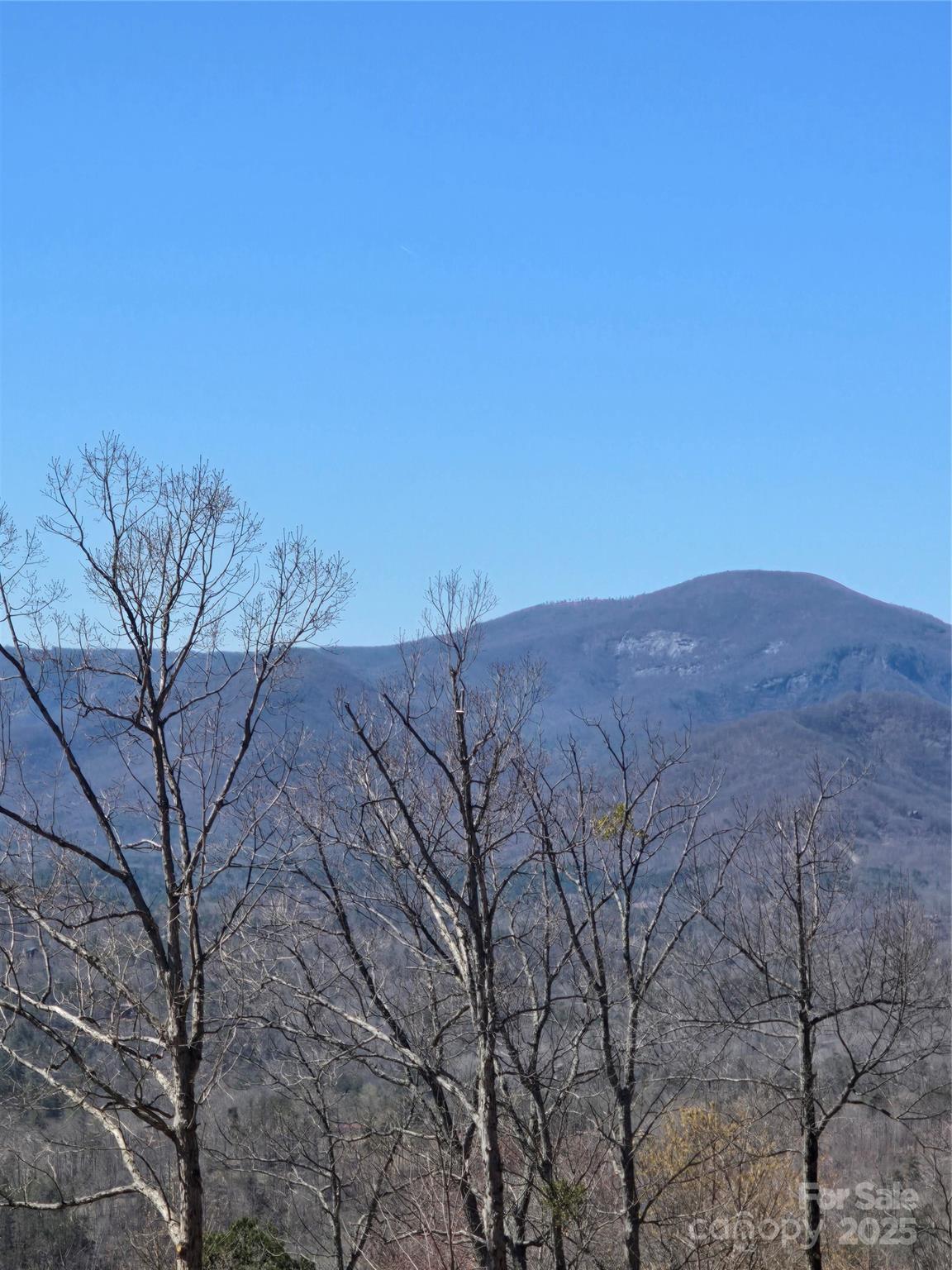 00 Golden Ridge Drive Lake Lure NC 28746