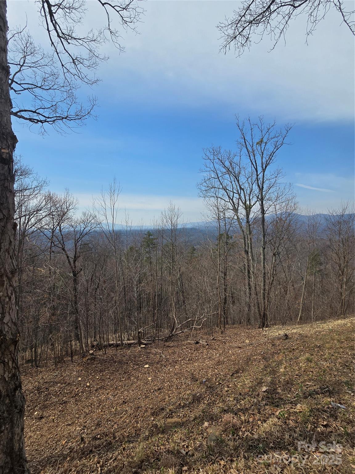 00 Golden Ridge Drive Lake Lure NC 28746