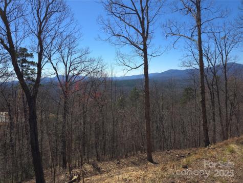 00 Golden Ridge Drive Lake Lure NC 28746