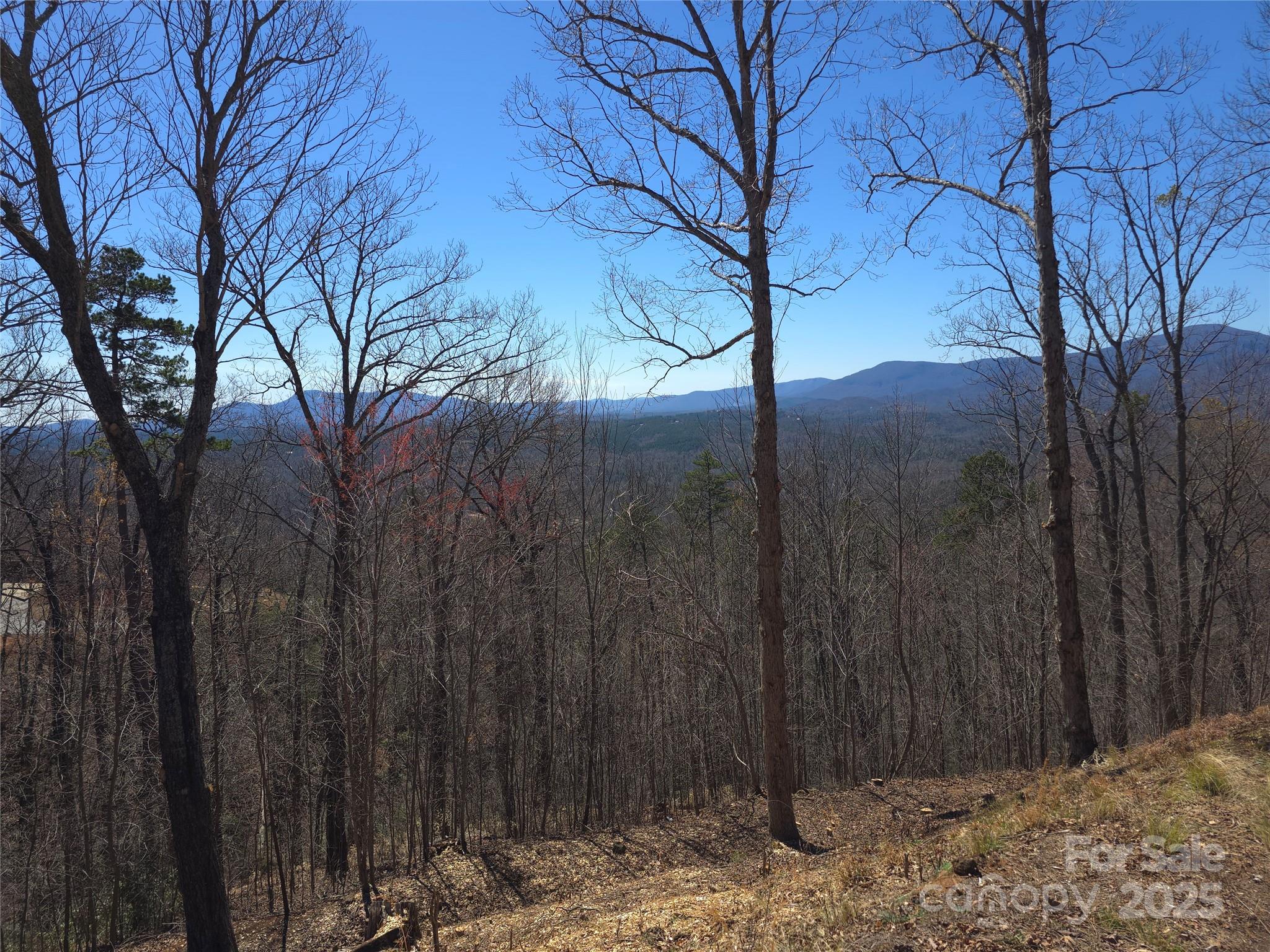 00 Golden Ridge Drive Lake Lure NC 28746