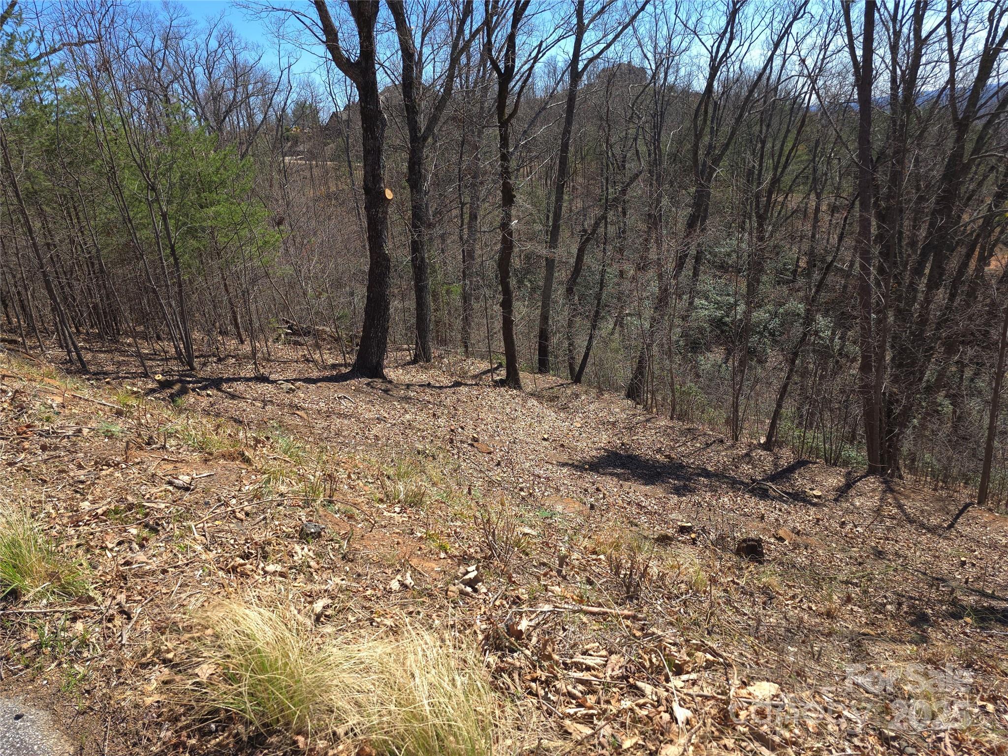 00 Golden Ridge Drive Lake Lure NC 28746