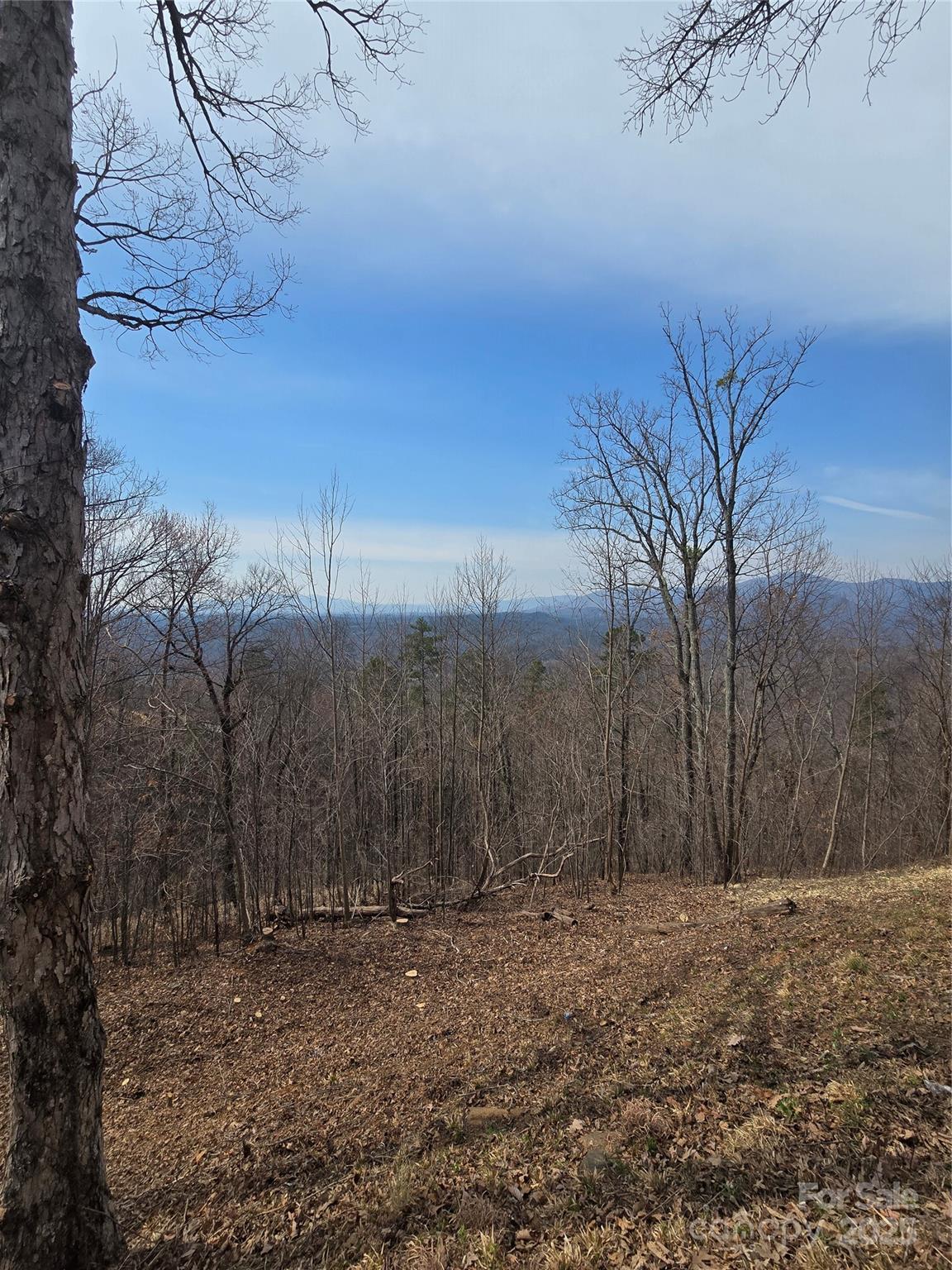 00 Golden Ridge Drive Lake Lure NC 28746