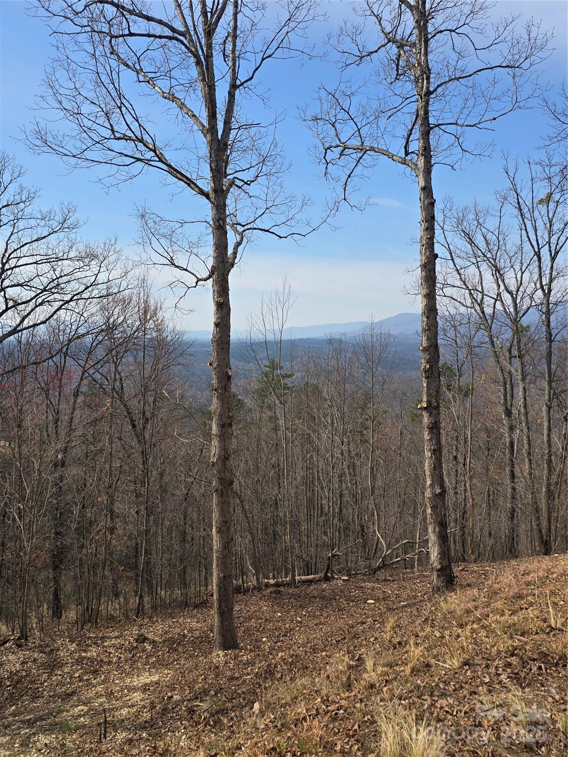 00 Golden Ridge Drive Lake Lure NC 28746