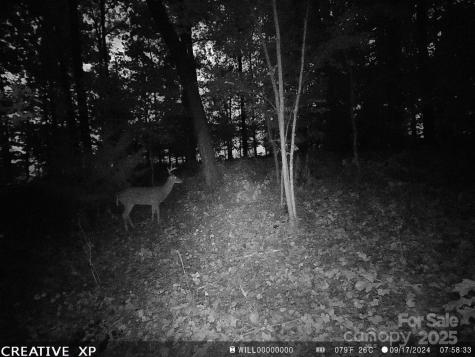 7210 Mission Road Mount Pleasant NC 28124