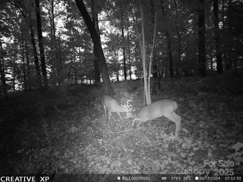 7210 Mission Road Mount Pleasant NC 28124