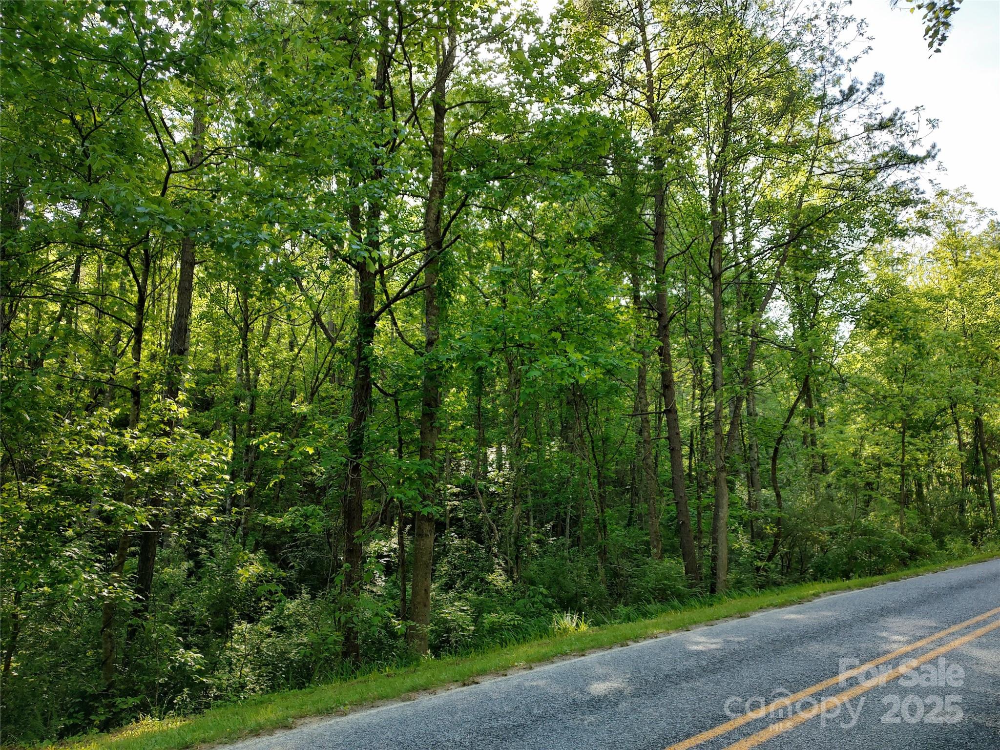0000 Lindsey Loop Road Fletcher NC 28732