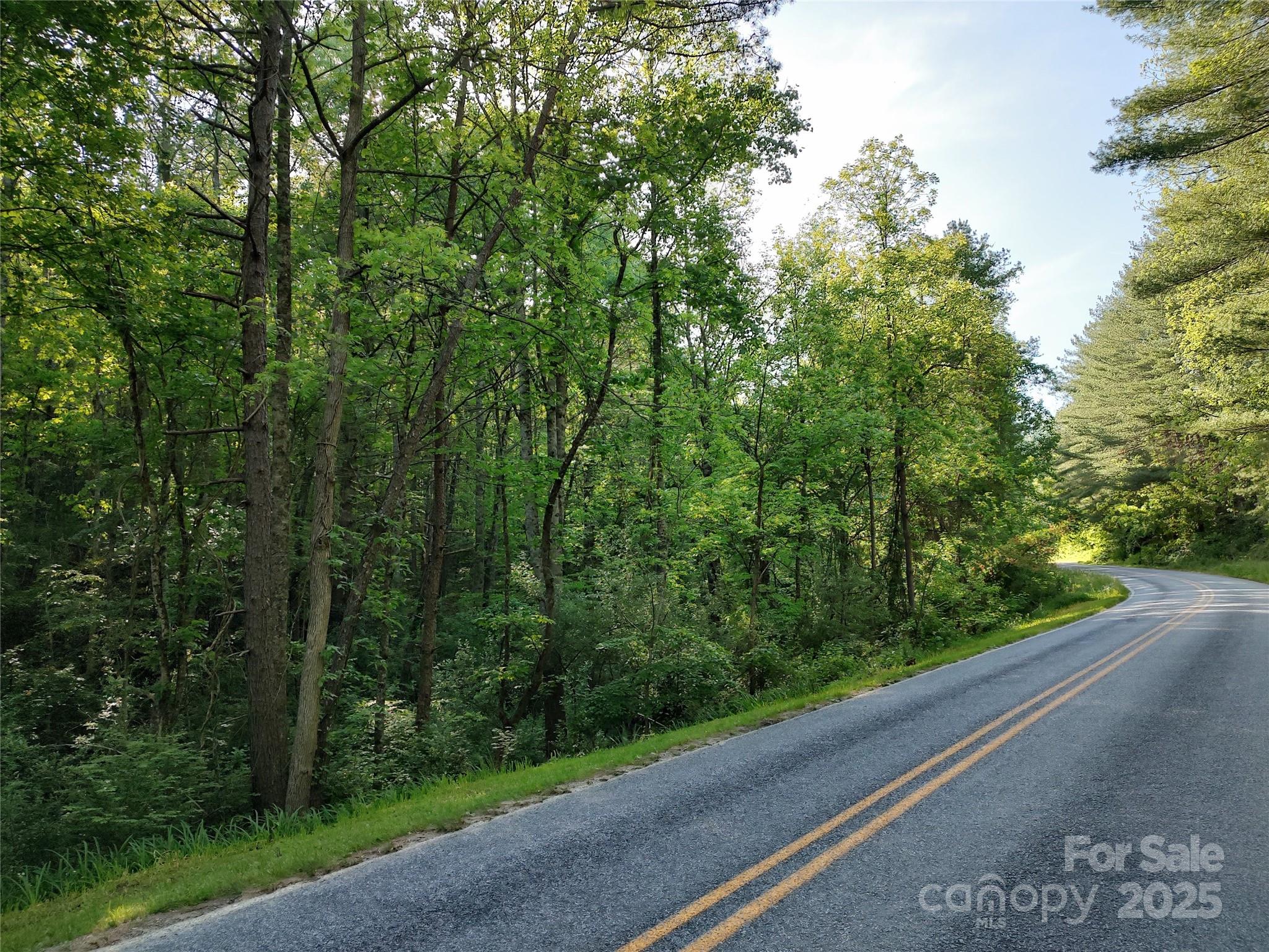 0000 Lindsey Loop Road Fletcher NC 28732