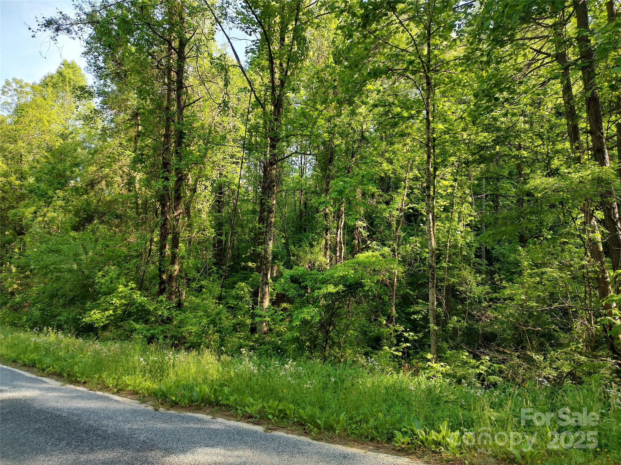 0000 Lindsey Loop Road Fletcher NC 28732