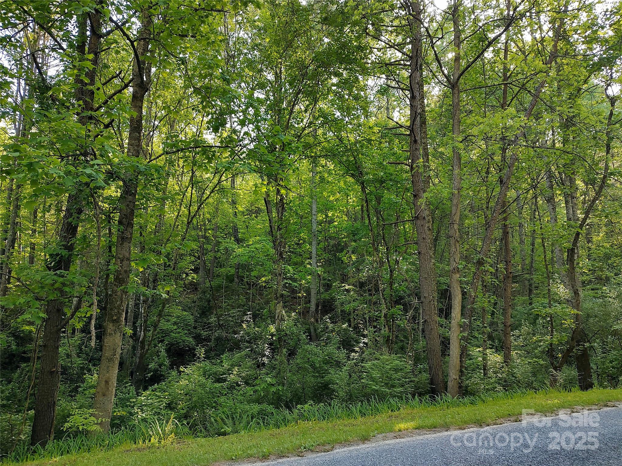 0000 Lindsey Loop Road Fletcher NC 28732