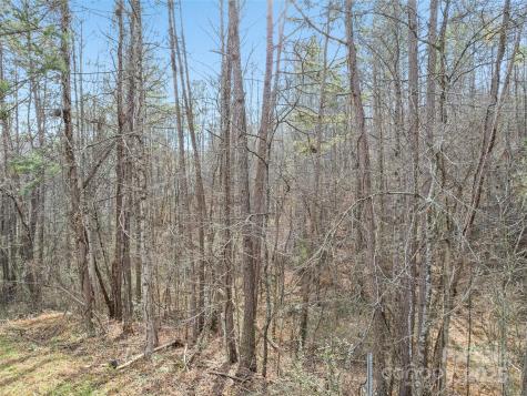 0000 Lindsey Loop Road Fletcher NC 28732