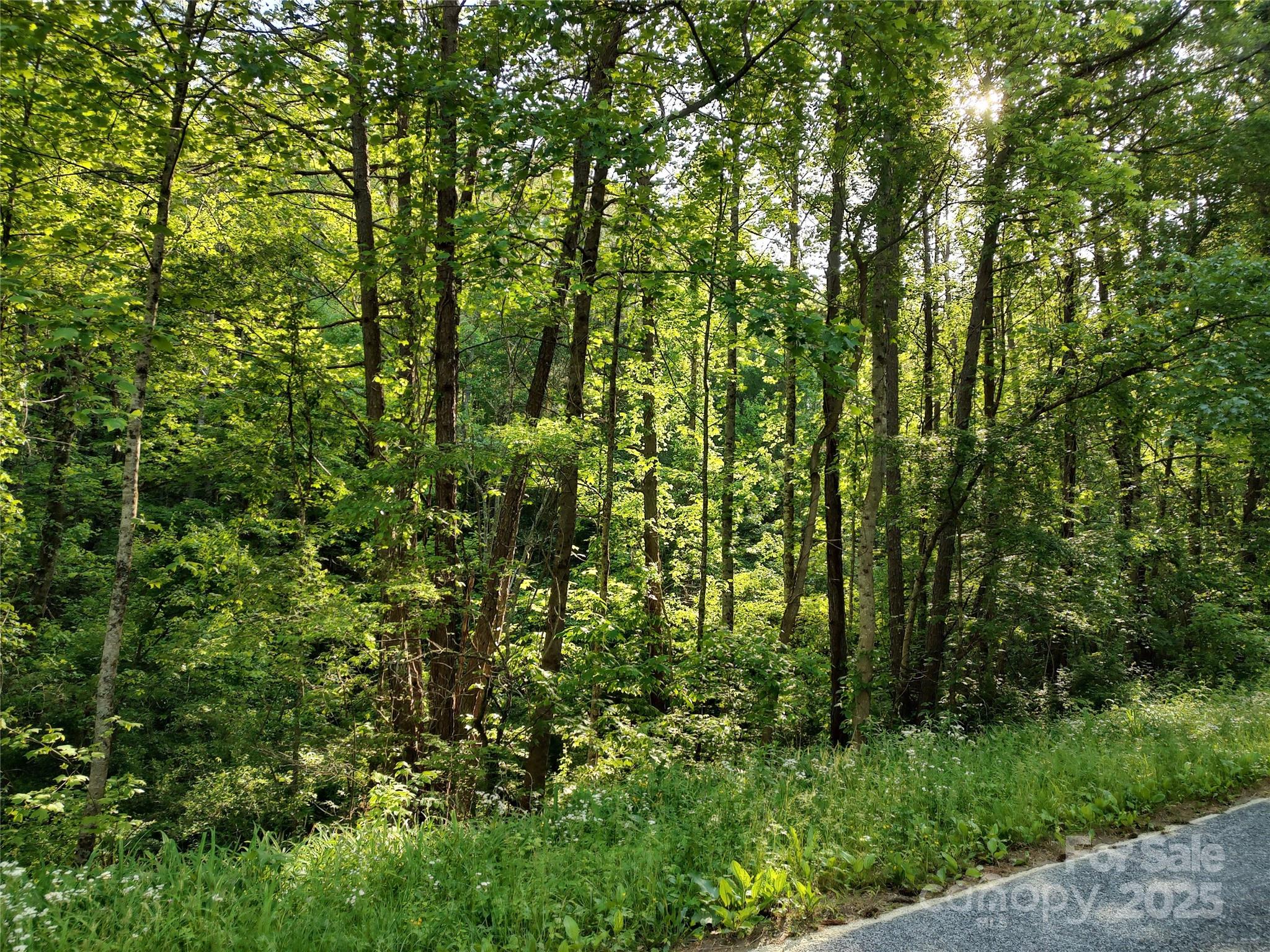0000 Lindsey Loop Road Fletcher NC 28732