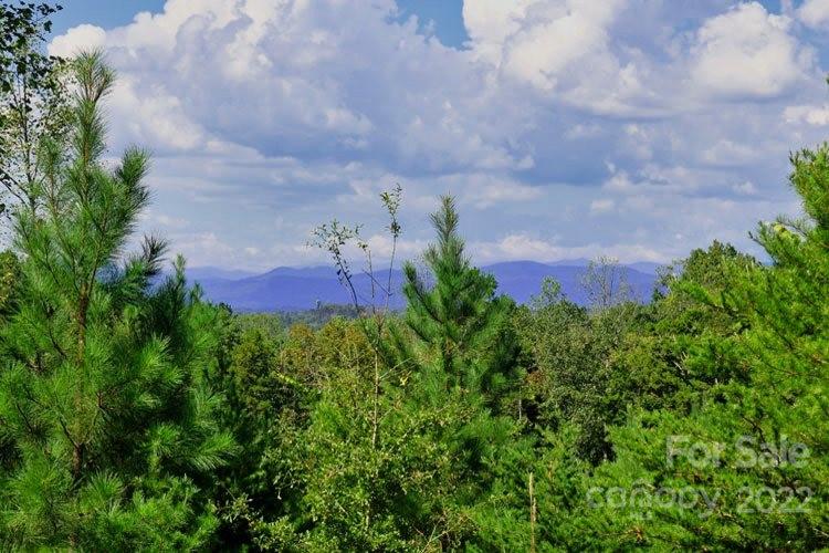 0 Talia Drive Rutherfordton NC 28139