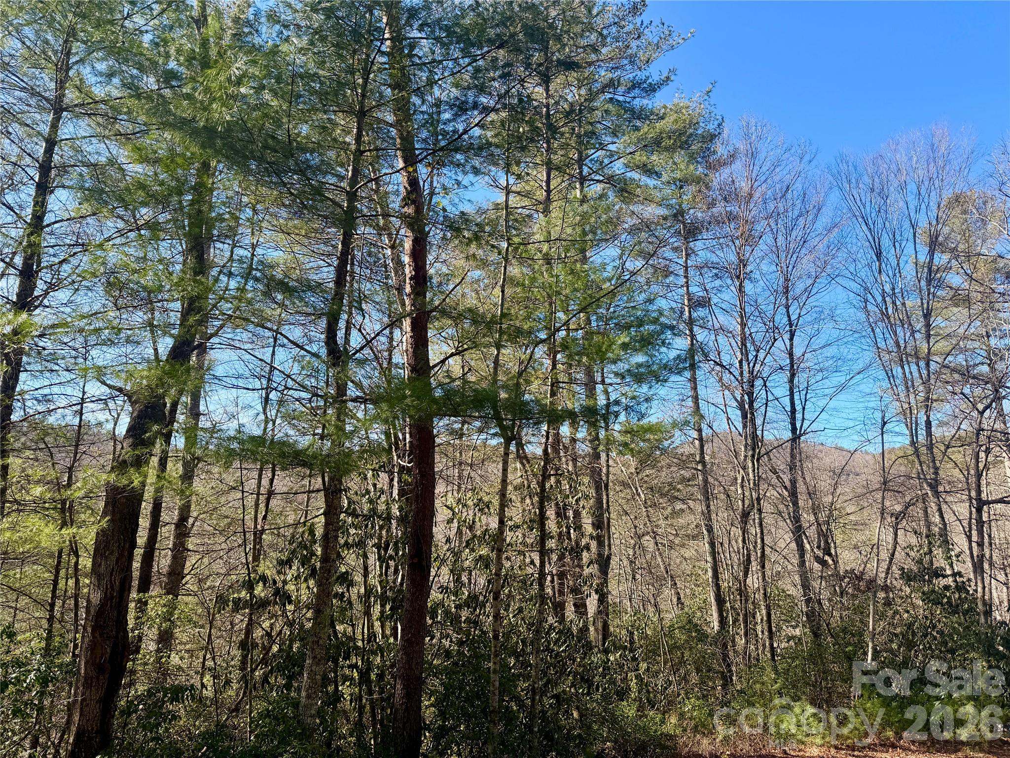 Lots 35, 36 & 37 Fox Den Road Brevard NC 28712