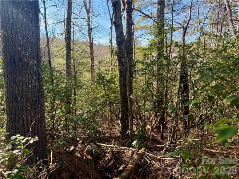 Lots 35, 36 & 37 Fox Den Road Brevard NC 28712