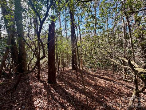 Lots 35, 36 & 37 Fox Den Road Brevard NC 28712