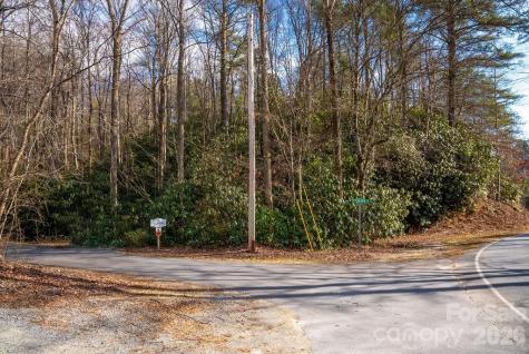 Lots 35, 36 & 37 Fox Den Road Brevard NC 28712