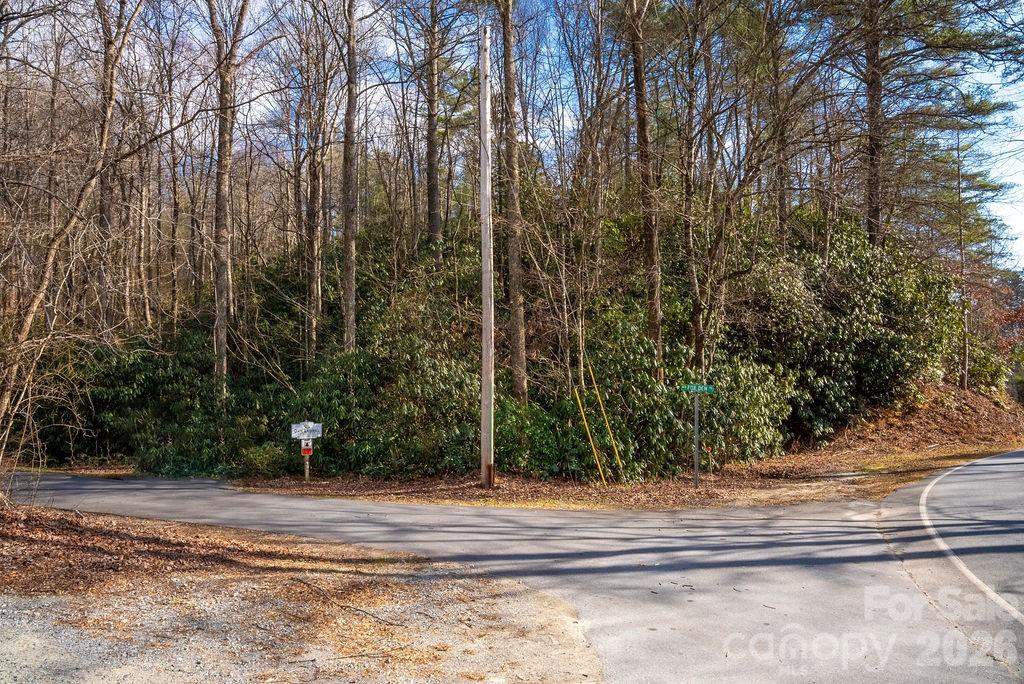 Lots 35, 36 & 37 Fox Den Road Brevard NC 28712