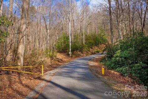 Lots 35, 36 & 37 Fox Den Road Brevard NC 28712
