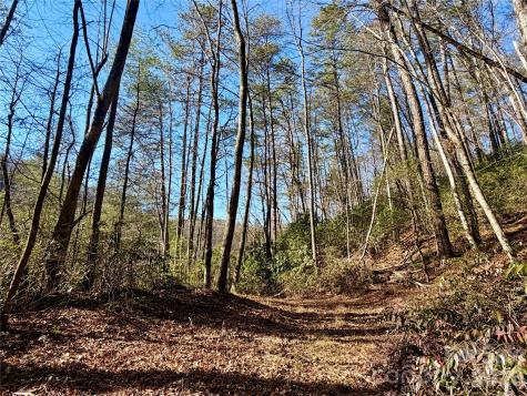 Lots 35, 36 & 37 Fox Den Road Brevard NC 28712