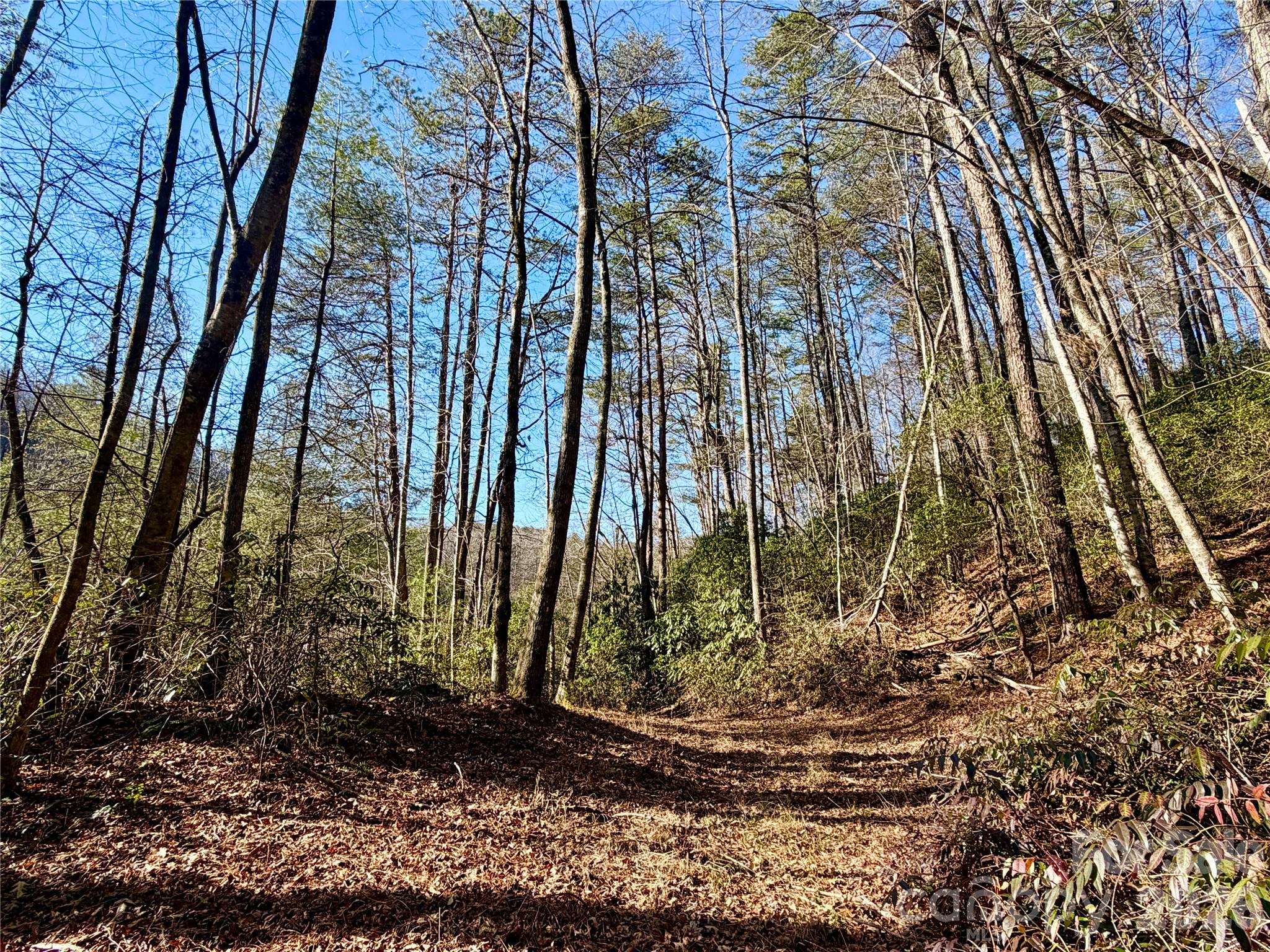 Lots 35, 36 & 37 Fox Den Road Brevard NC 28712