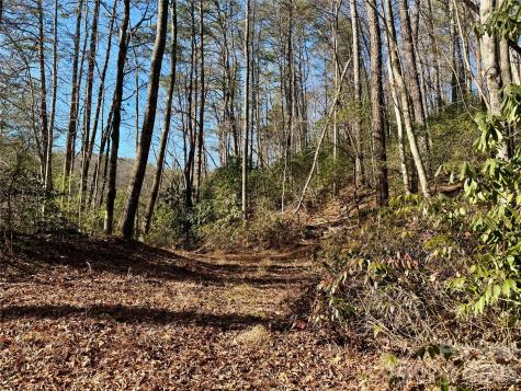 Lots 35, 36 & 37 Fox Den Road Brevard NC 28712