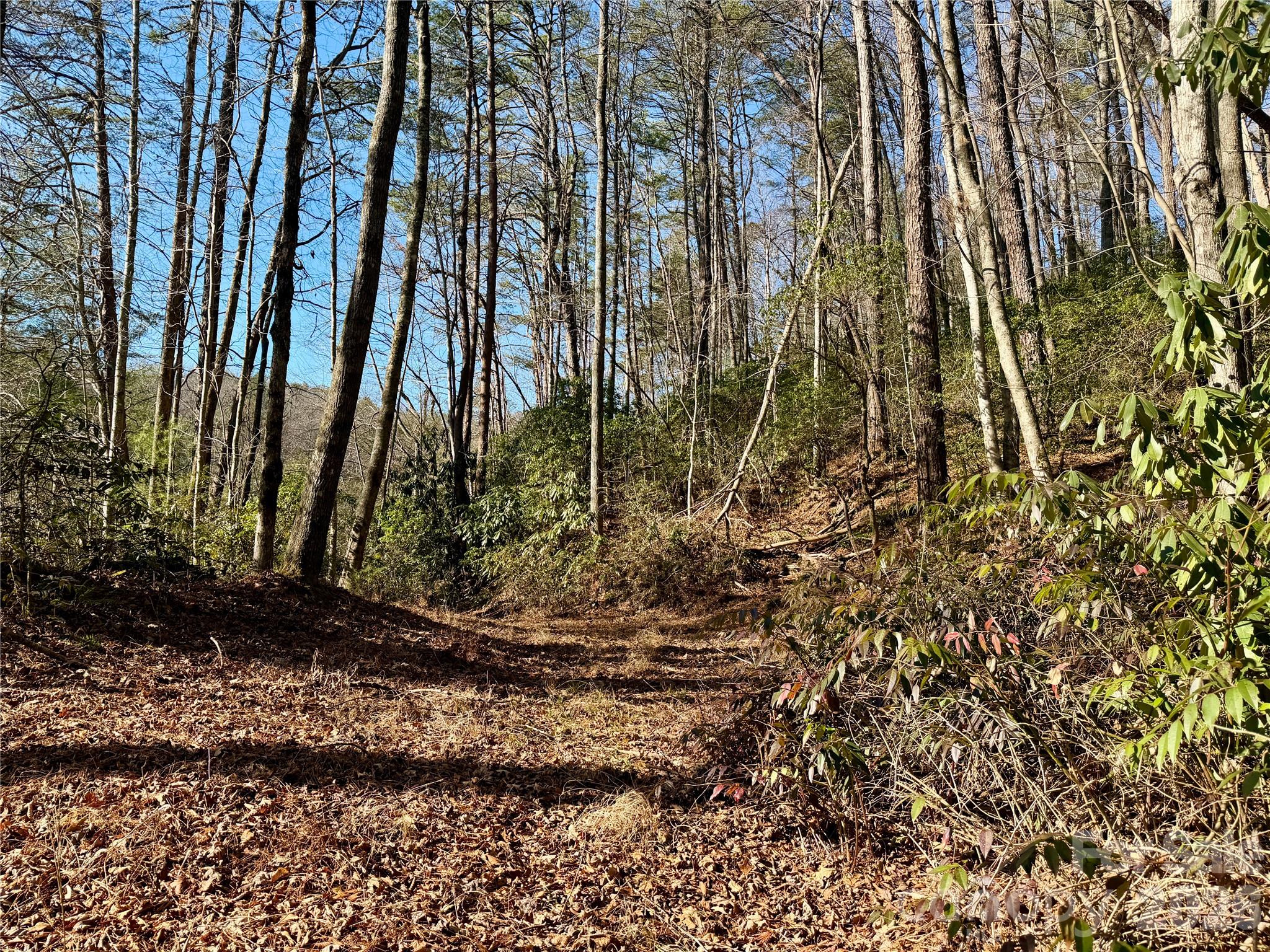 Lots 35, 36 & 37 Fox Den Road Brevard NC 28712