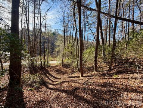 Lots 35, 36 & 37 Fox Den Road Brevard NC 28712