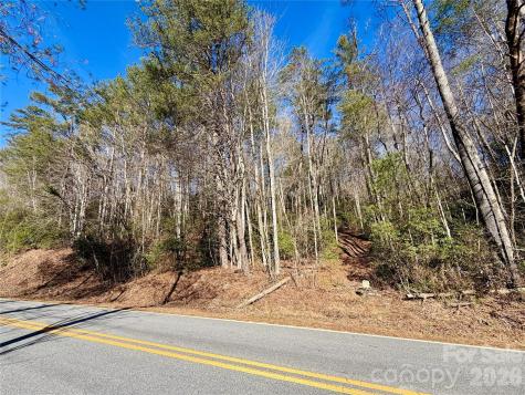 Lots 35, 36 & 37 Fox Den Road Brevard NC 28712