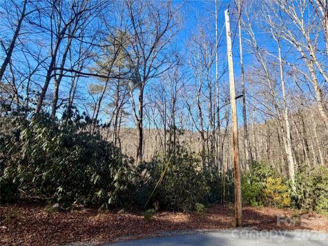 Lots 35, 36 & 37 Fox Den Road Brevard NC 28712