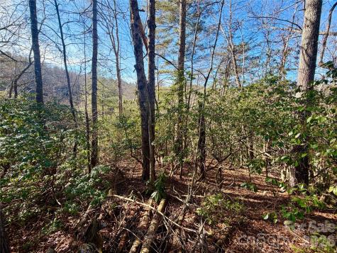 Lots 35, 36 & 37 Fox Den Road Brevard NC 28712