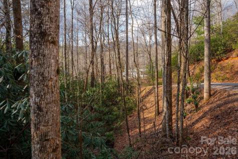 Lots 35, 36 & 37 Fox Den Road Brevard NC 28712