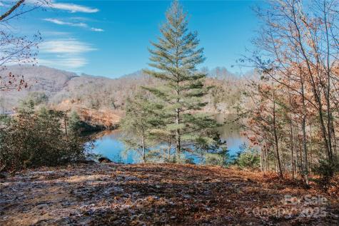 134 Dars Lane Tuckasegee NC 28783