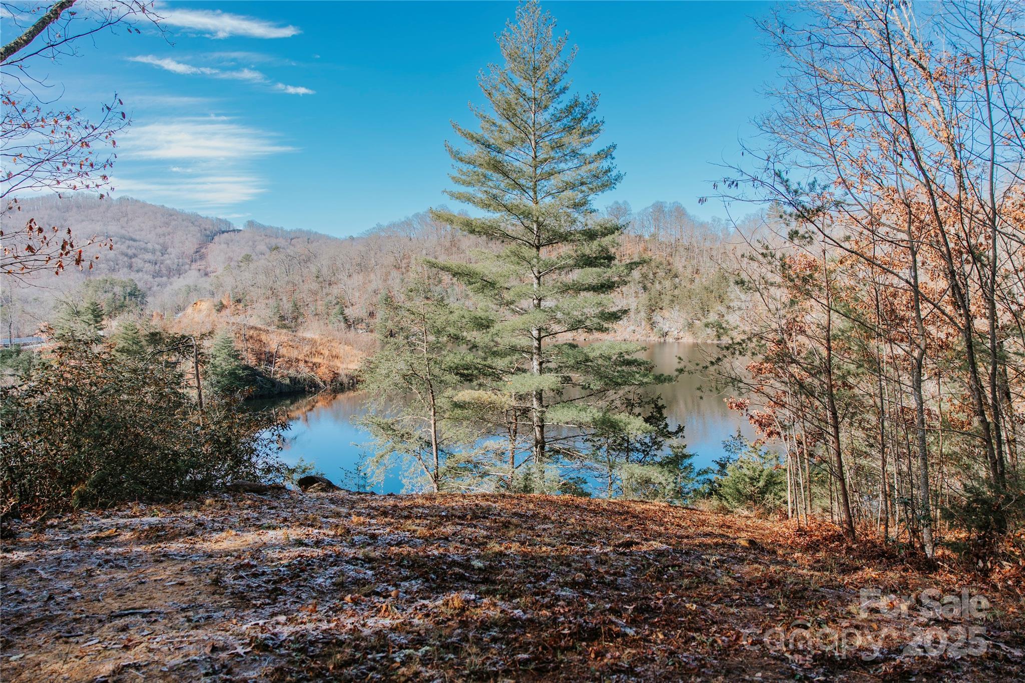 134 Dars Lane Tuckasegee NC 28783