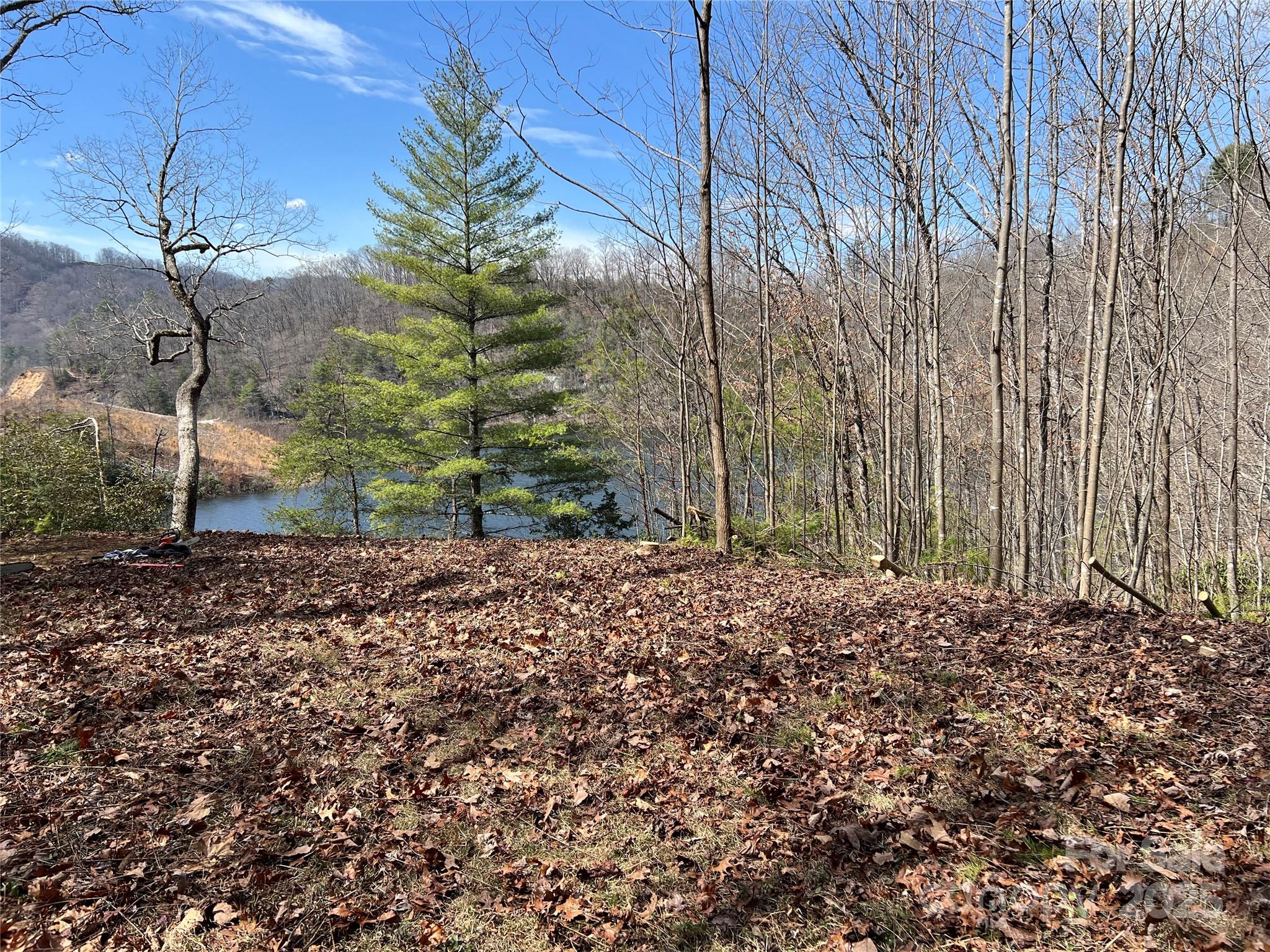 134 Dars Lane Tuckasegee NC 28783