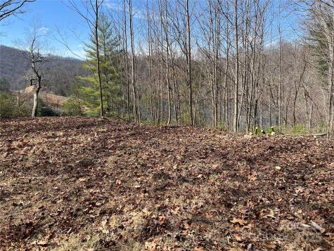 134 Dars Lane Tuckasegee NC 28783