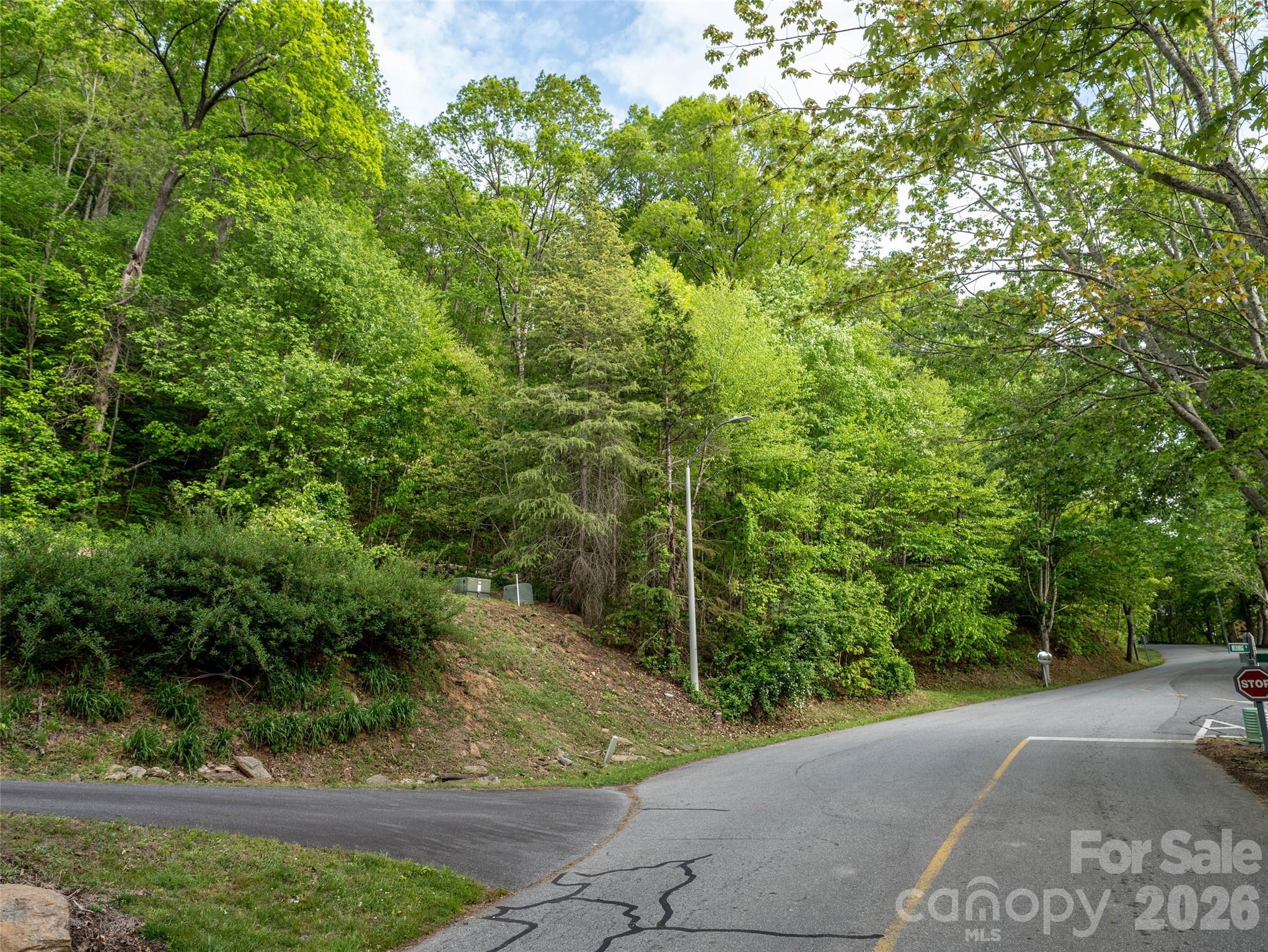 Lot 13 Breckenridge Road Waynesville NC 28785