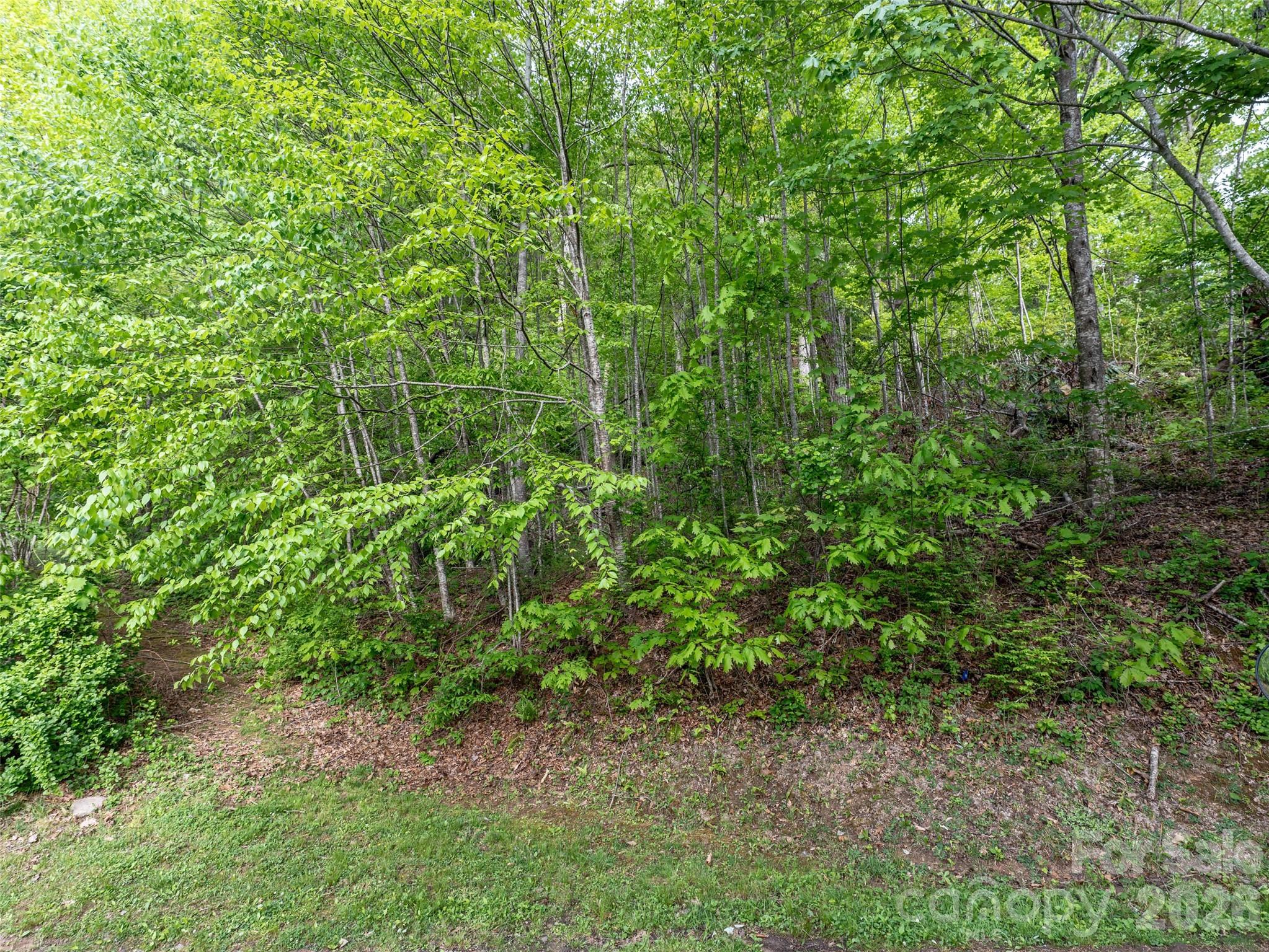 Lot 13 Breckenridge Road Waynesville NC 28785
