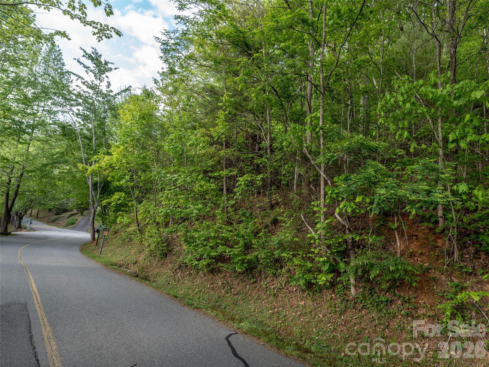 Lot 13 Breckenridge Road Waynesville NC 28785