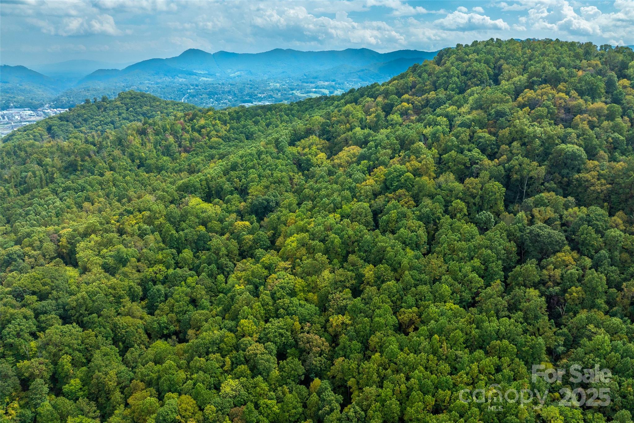 99999 Carolina Boulevard Canton NC 28716