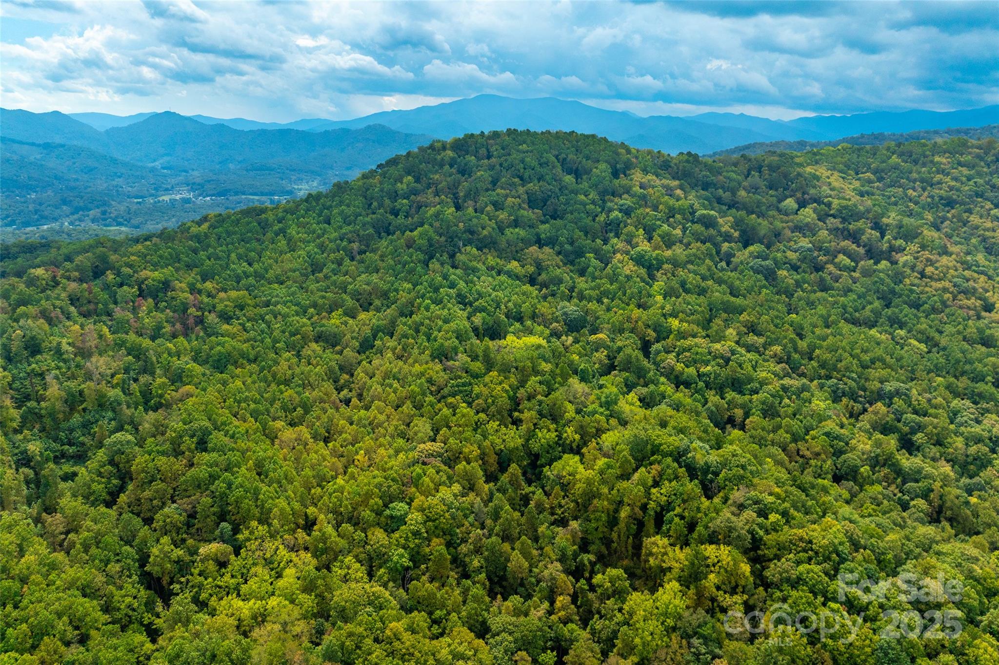 99999 Carolina Boulevard Canton NC 28716