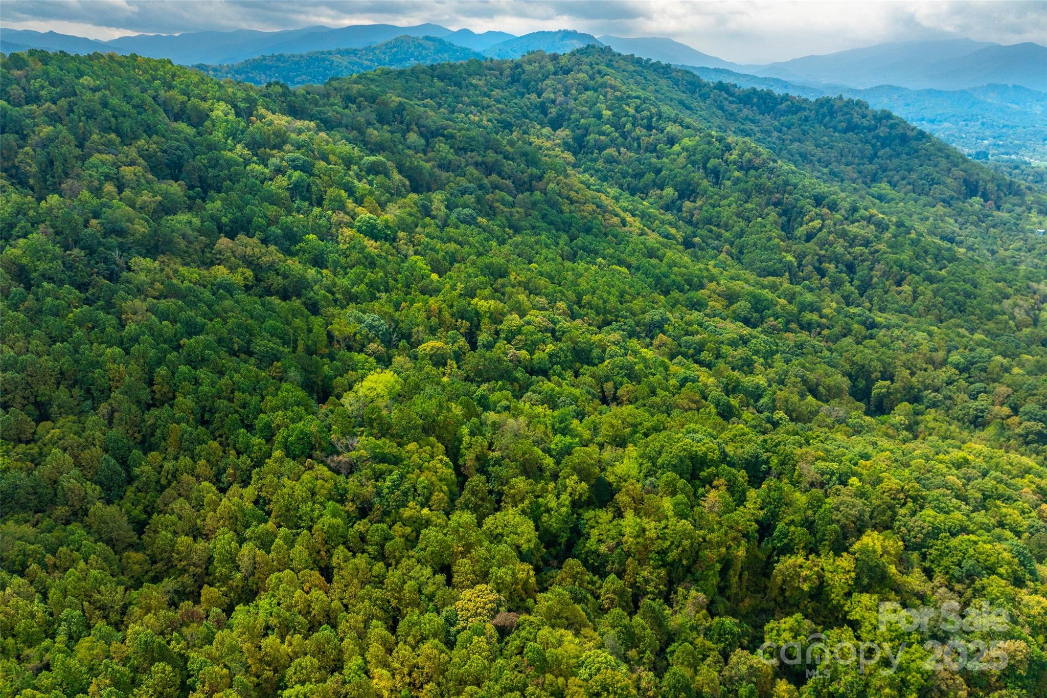 99999 Carolina Boulevard Canton NC 28716