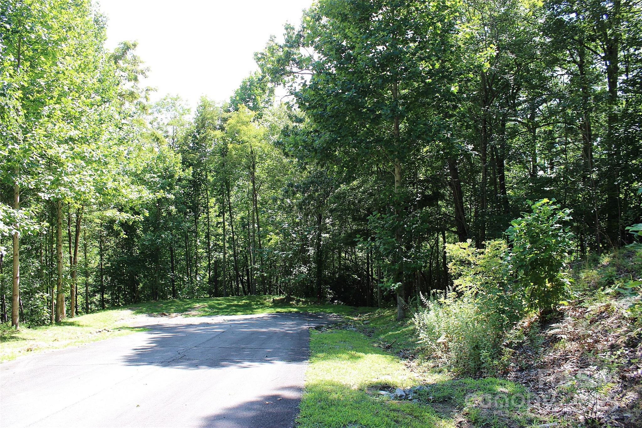 120 Ivywood Lane Laurel Park NC 28739