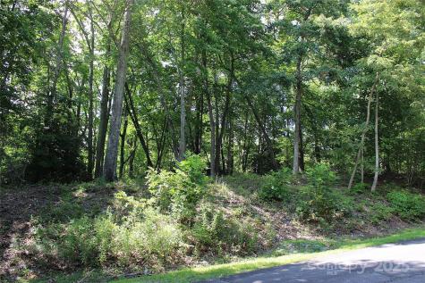120 Ivywood Lane Laurel Park NC 28739