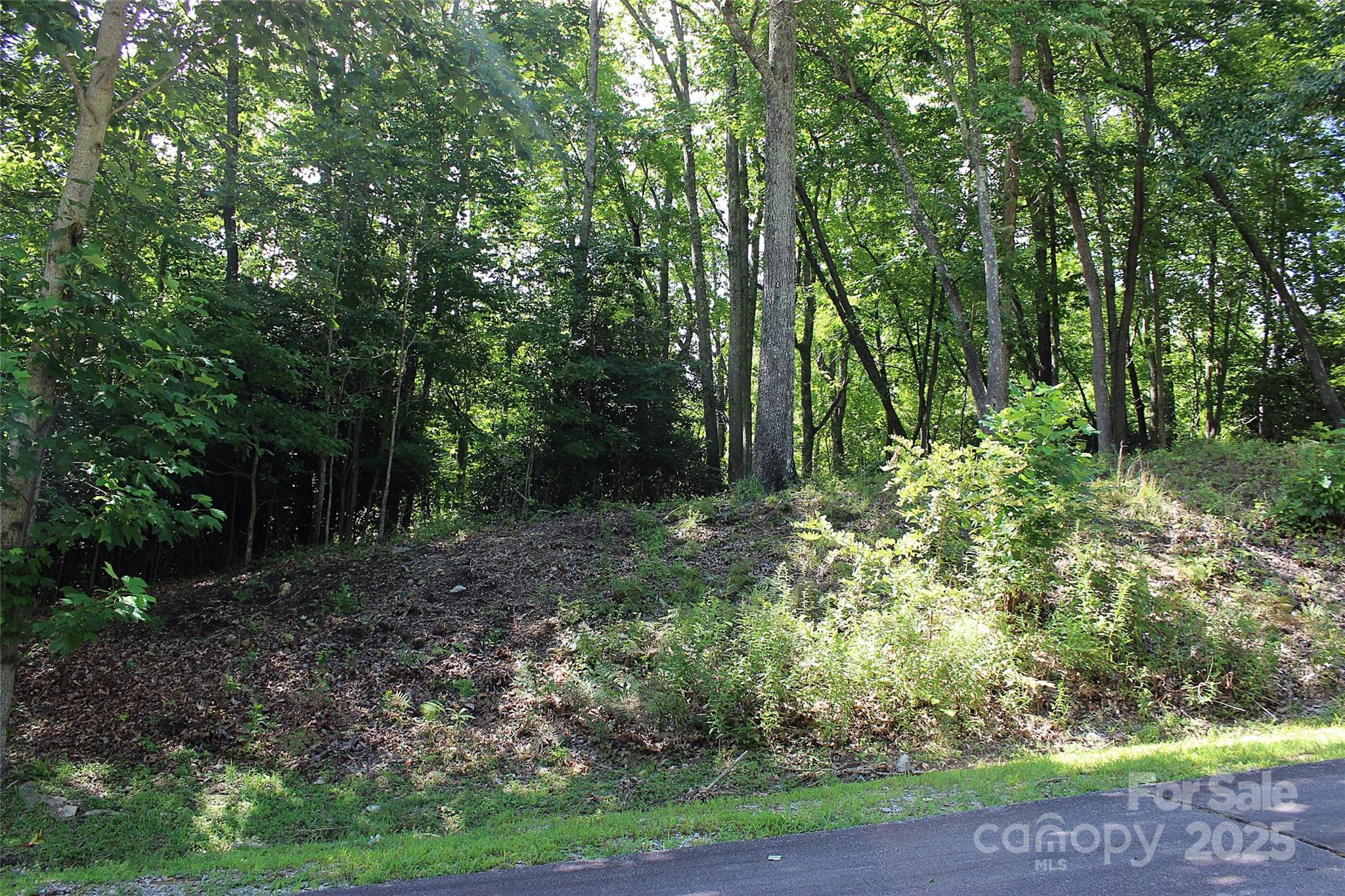 120 Ivywood Lane Laurel Park NC 28739