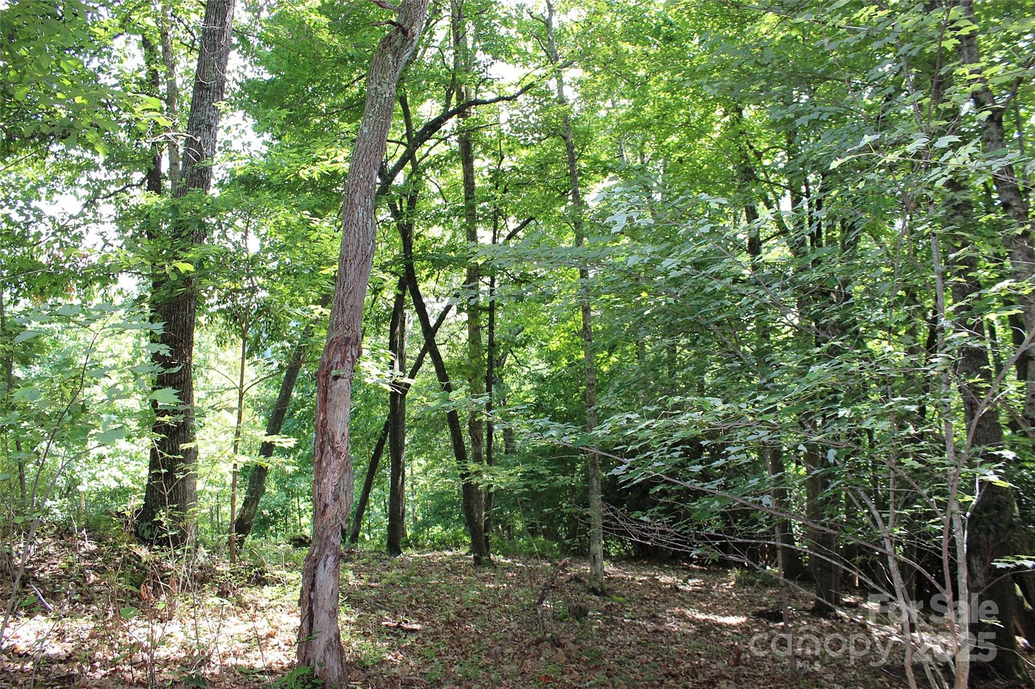 120 Ivywood Lane Laurel Park NC 28739