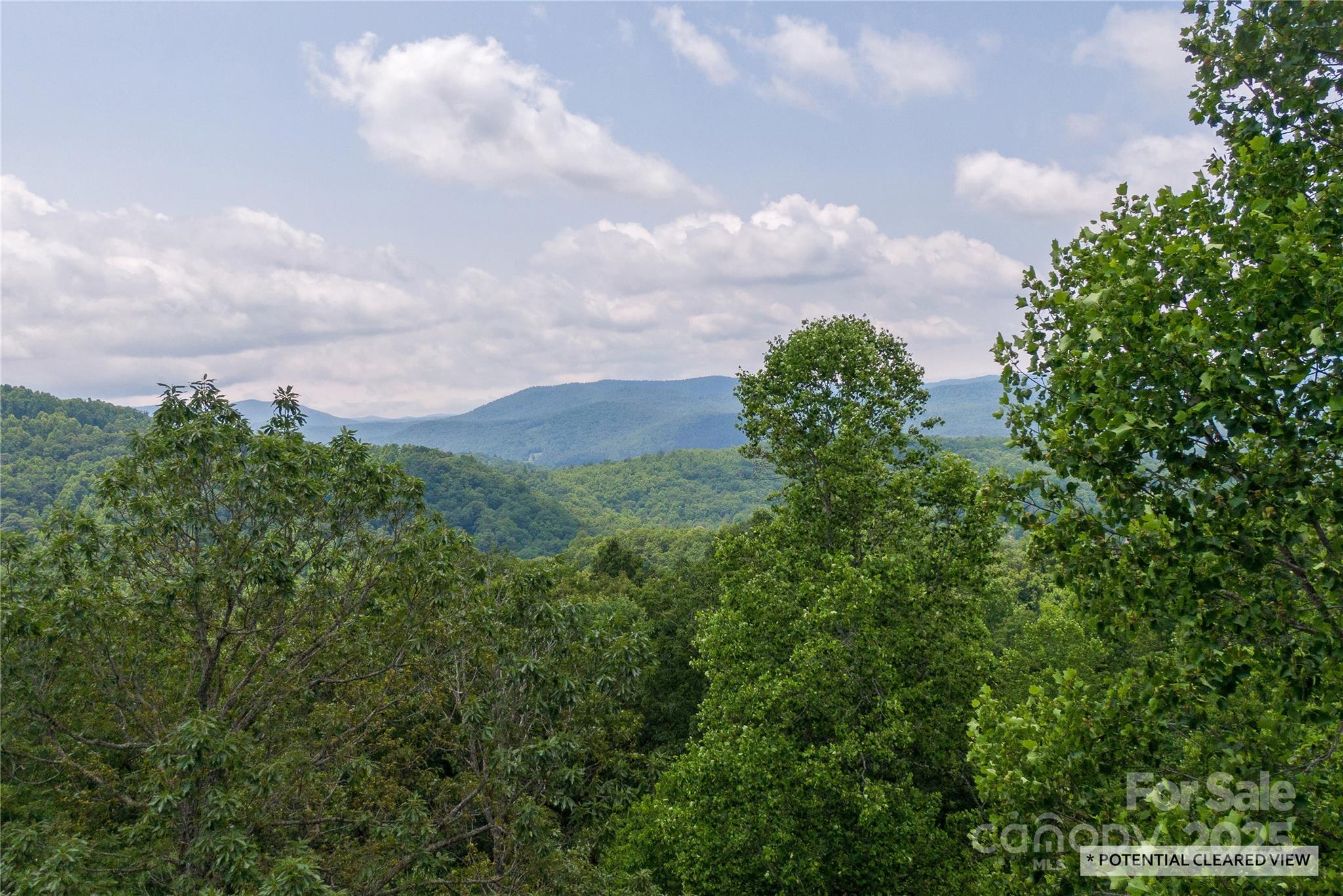 120 Ivywood Lane Laurel Park NC 28739