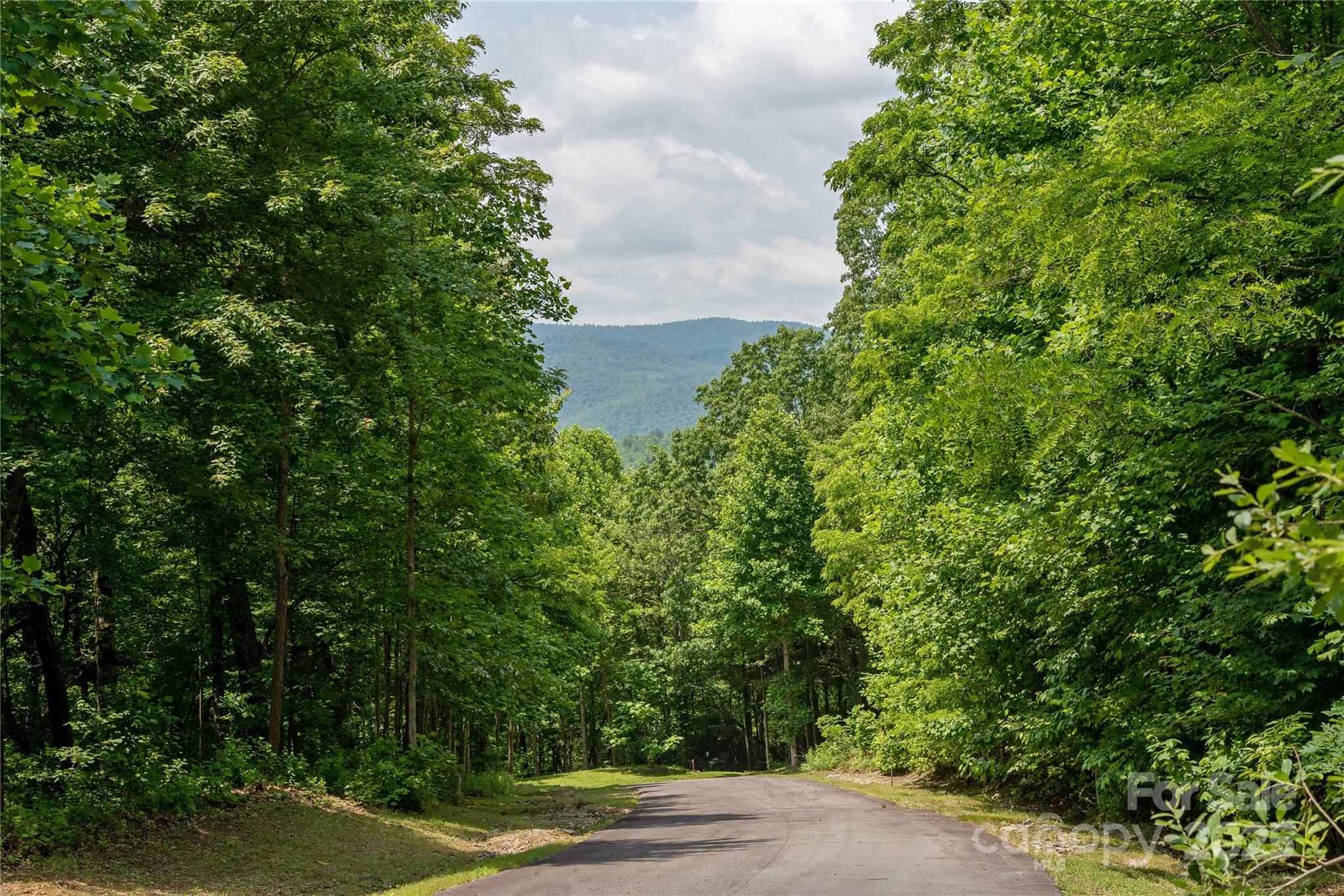 120 Ivywood Lane Laurel Park NC 28739