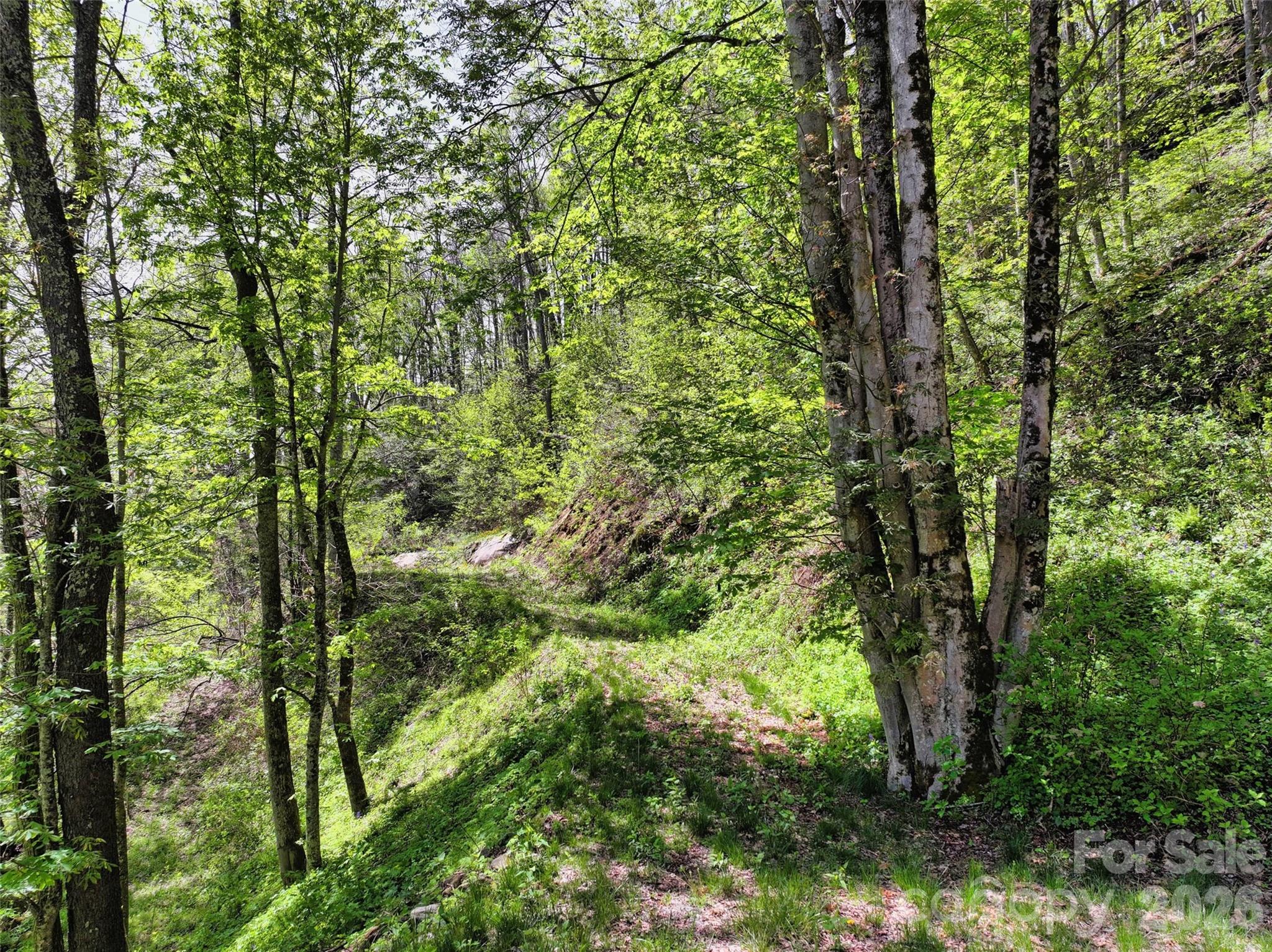 9999 Divit Road Waynesville NC 28785