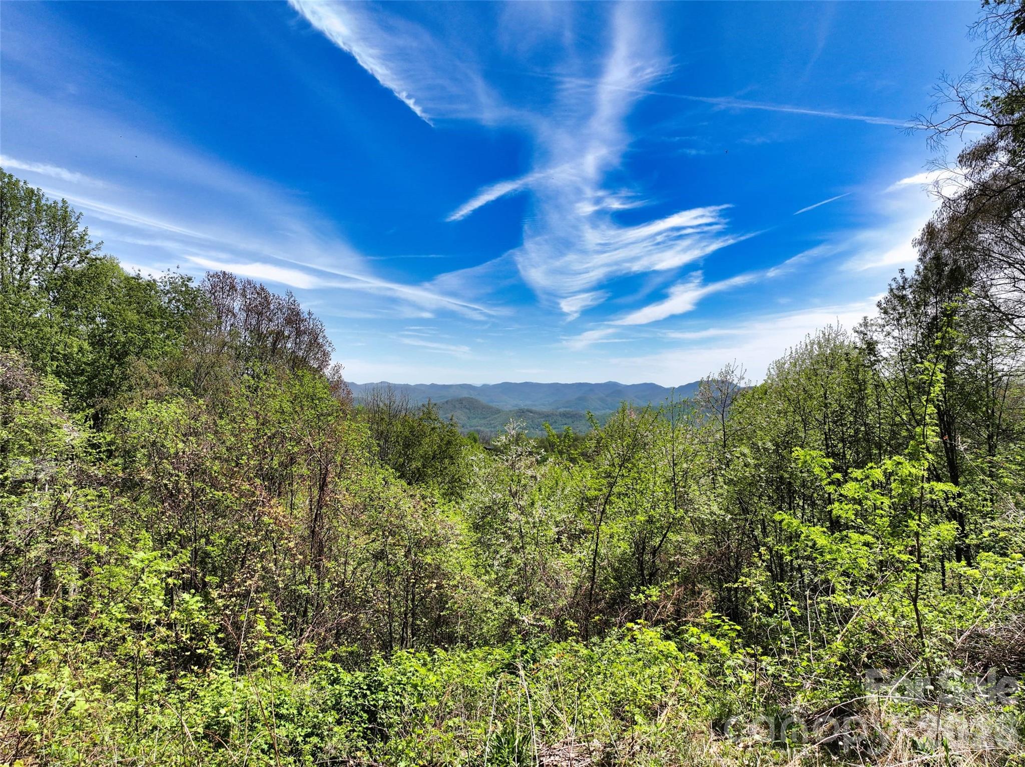 9999 Divit Road Waynesville NC 28785