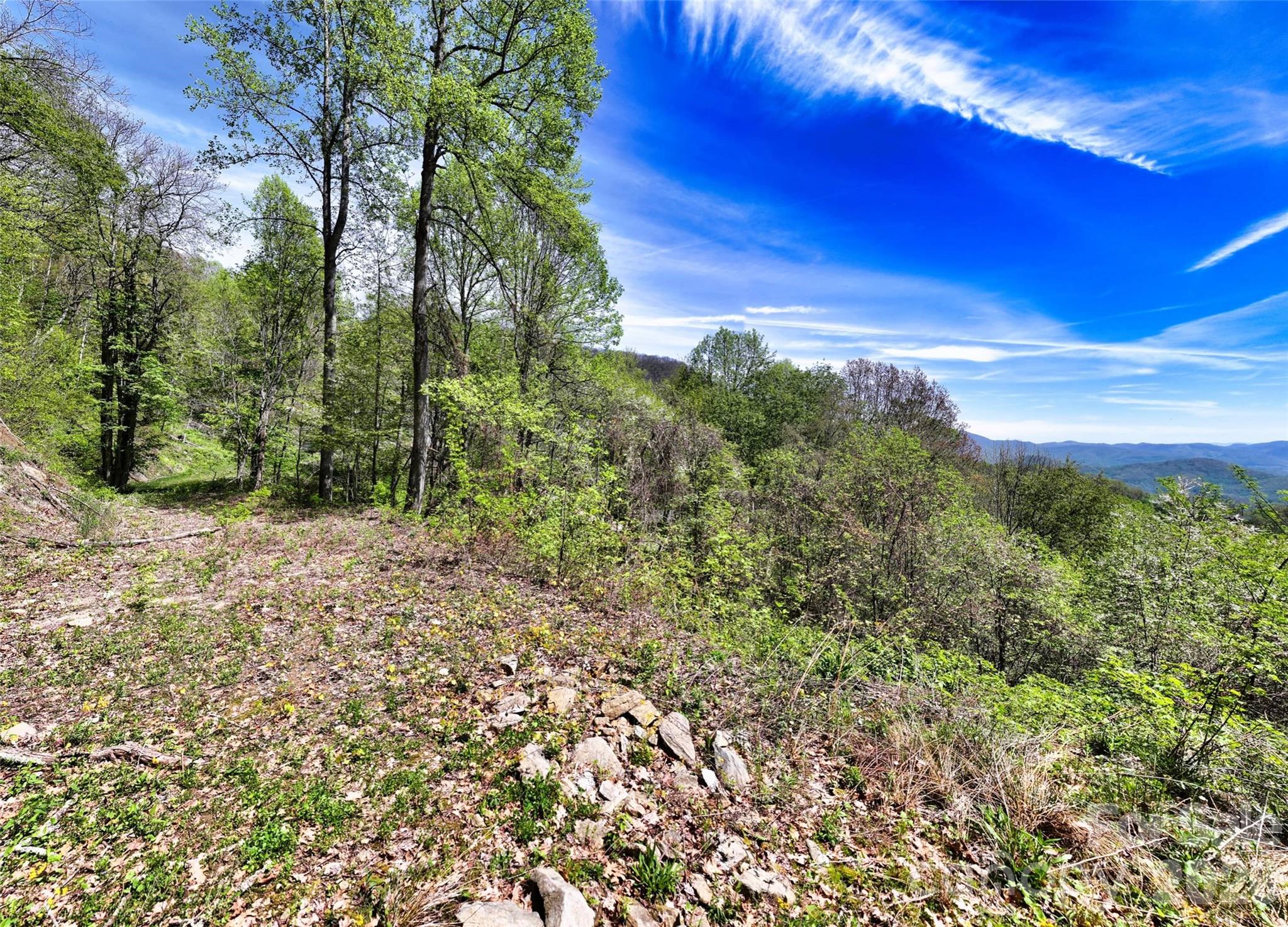 9999 Divit Road Waynesville NC 28785